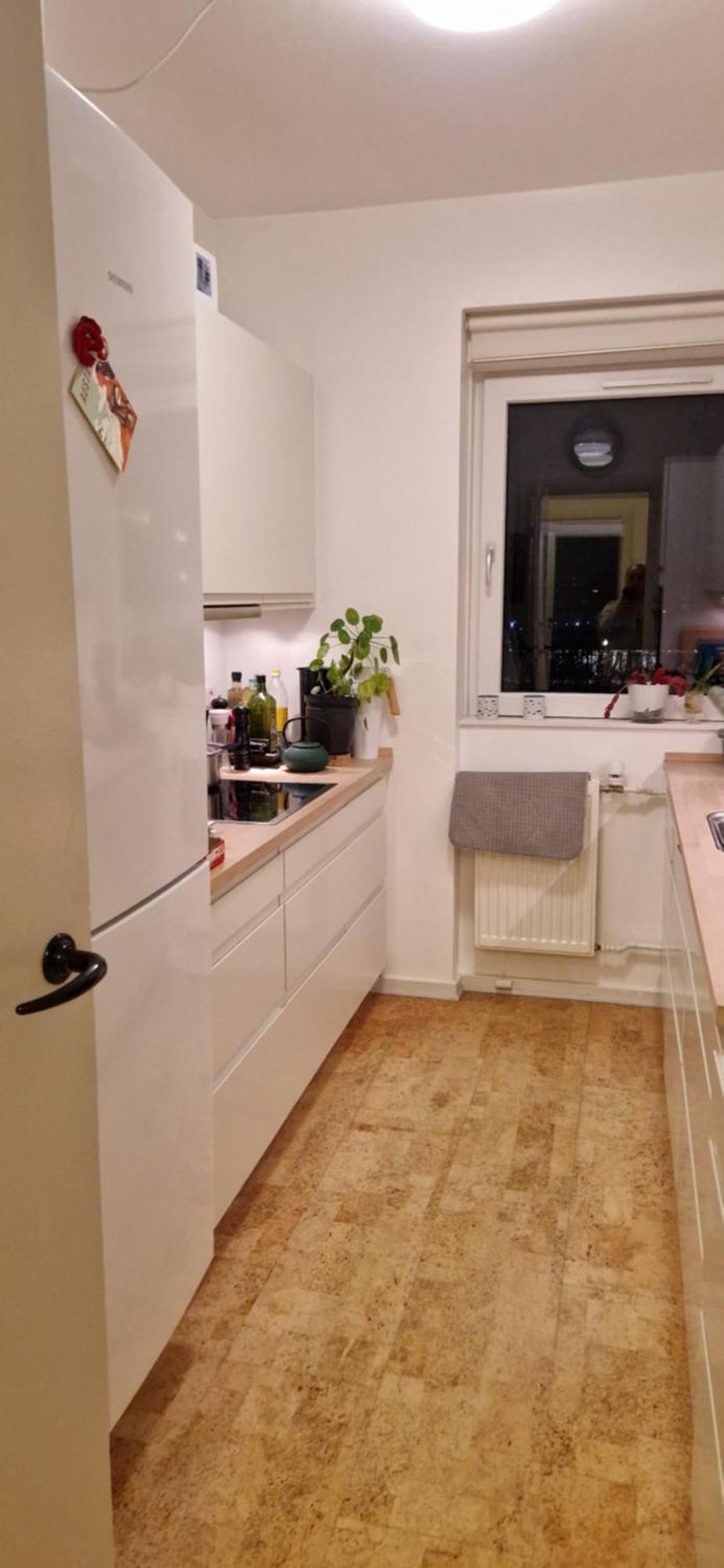 Homestay With Bo Copenaghen Esterno foto